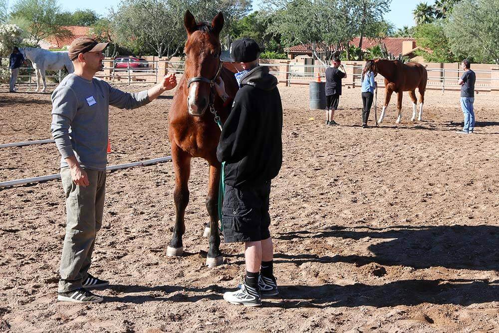 Pinnacle Peak Recovery Equine Therapy