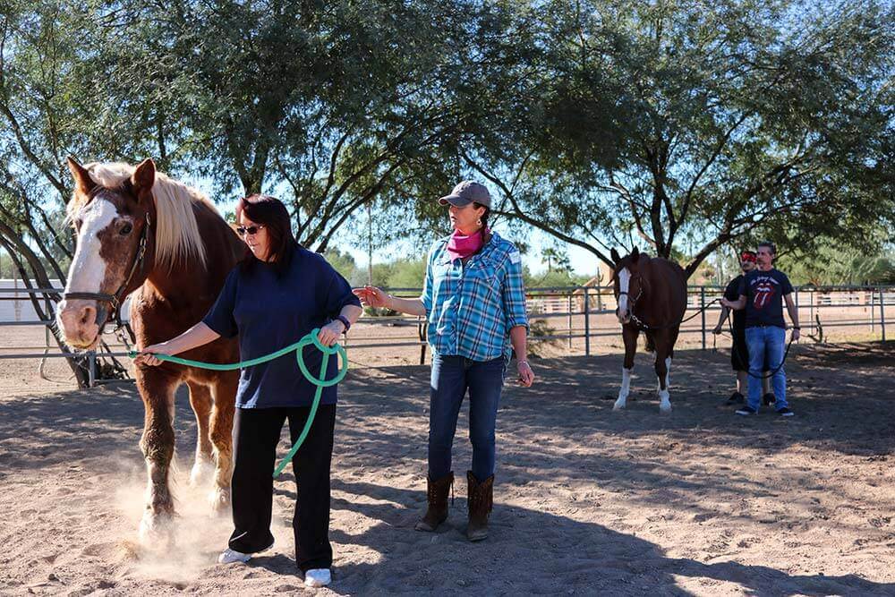 Pinnacle Peak Recovery Daily Equine Therapy