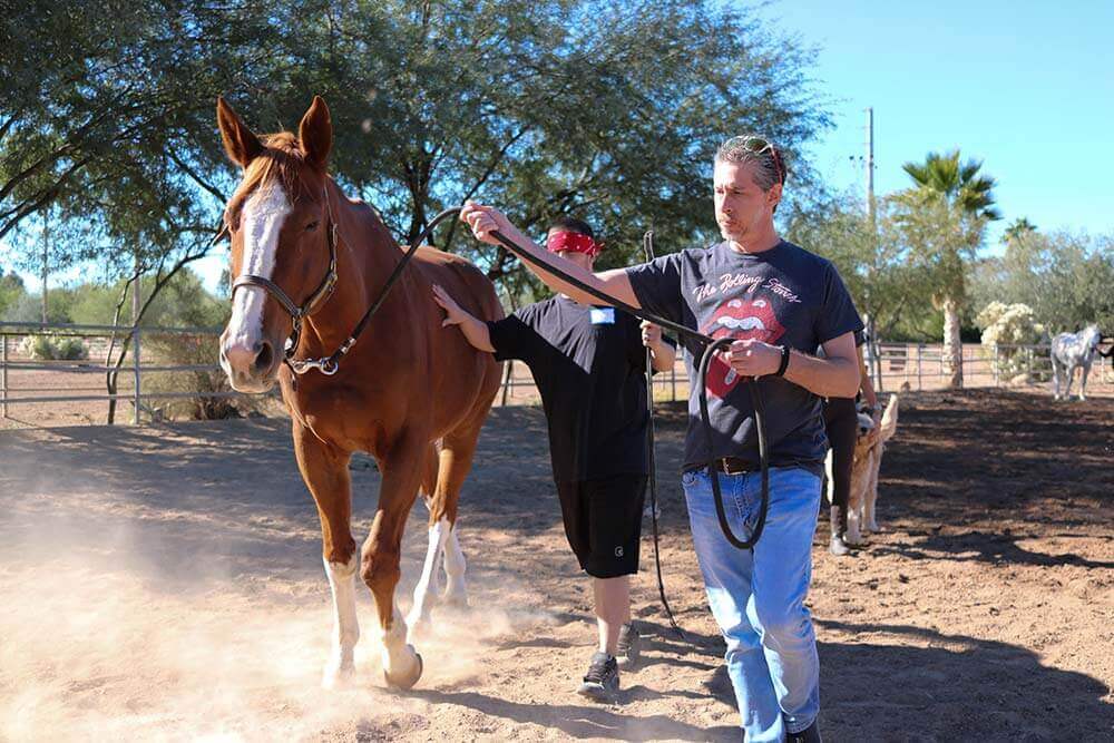 Pinnacle Peak Recovery Outdoor Equine Therapy Session