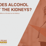 pinnacle peak recovery how does alcohol affect the kidneys