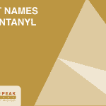 street names for fentanyl pinnacle peak recovery
